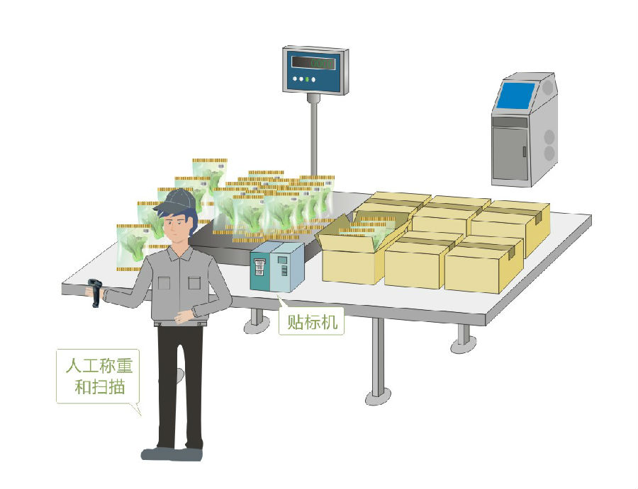凯丽文生产线.jpg